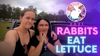 Rabbits Eat Lettuce Festival 2021 [upl. by Hodges]