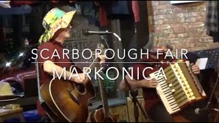 Scarborough Fair by Markonica at Rea River Roots 28th August 2024 [upl. by Saihtam]