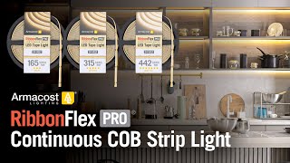 RibbonFlex Pro COB LED Strip Light from Armacost Lighting [upl. by Cirone]