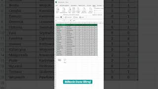 Filtrowanie danych excel filtrowanie filtr office [upl. by Burgener]