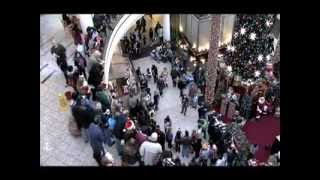 Flash Mob Christmas Carol at Mall  MUST SEE [upl. by Efinnej]