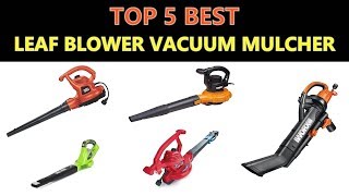 Best Leaf Blower Vacuum Mulcher  2020 [upl. by Inalaek424]