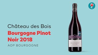 Bourgogne Pinot Noir 2018  Fruité et charmeur  On boit quoi JeanMichel [upl. by Ziguard]