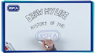 Draw my life  History of the RSPCA [upl. by Llertniuq875]