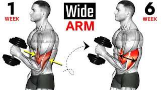 Full Arms Exercises with Dumbbells  Biceps and Triceps  🦾🦾 [upl. by Esta]