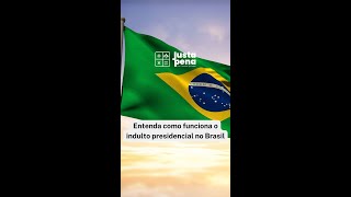 Entenda como funciona o indulto presidencial no Brasil [upl. by Shell]