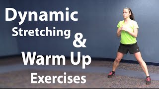 Workout Stretching and Easy Warm Up Exercises  Static and Dynamic Stretching [upl. by Kalinda]