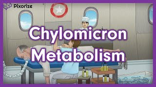 Chylomicron Metabolism USMLE Mnemonic [upl. by Atinaw]