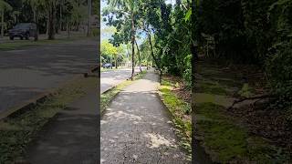 Walking in Playacar Playa del Carmen Mexico tropical Caribbean jungle city life travel explore [upl. by Stoat694]