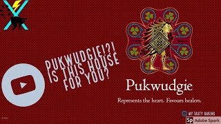 Sorting Hat on Pottermore Ilvermorny How to get Pukwudgie [upl. by Analra]