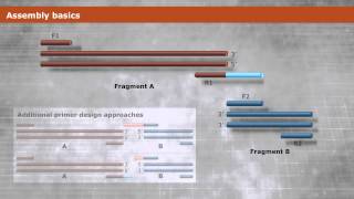 Primer Design and Fragment Assembly Using Gibson Assembly™ [upl. by Henrique83]