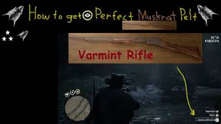 RDR2 How to get a perfect Muskrat Pelt [upl. by Alil]