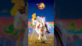 Neza Bazi In Pakistan 2024 nezabazi horseriders equestrian horseriding youtubeshorts horsegirl [upl. by Daryle]