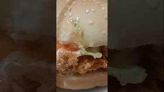 I tried zinger burger at street food zingerburger streetfood fries burger ytshorts [upl. by Namrak230]