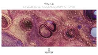 Wassu  Endless Love Nicolas Giordano Remix [upl. by Nolahc336]