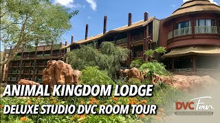 Tour a Deluxe Studio DVC Room at Disneys Animal Kingdom Lodge Jambo House [upl. by Lanaj]