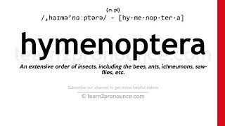 Pronunciation of Hymenoptera  Definition of Hymenoptera [upl. by Oluas408]