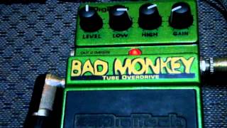 Review  Digitech Bad Monkey  PTBR  Michael Martins [upl. by Rednasyl]