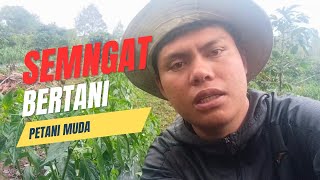 petani biasa [upl. by Adnahsam461]