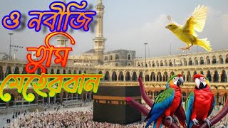 tumi meherban go nobiji tumi meherban ও নবীজি তুমি মেহেরবান vah Nabi jiTumi meherbaan [upl. by Narib]