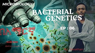 Microbiology Bacterial Genetics Ep06 [upl. by Ardnuahs487]