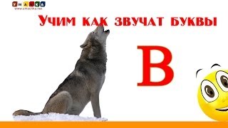 Алфавит русский Учим Буквы и Звуки с Кругляшиком  Буква В [upl. by Ij]