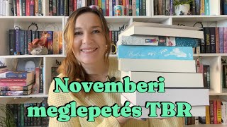 Meglepetés novemberi TBR  Mit tervezek olvasni novemberben 2024📚 [upl. by Berlauda576]