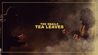 THE SNAILS quotTEA LEAVESquot MUSIC VIDEO [upl. by Ayotl]