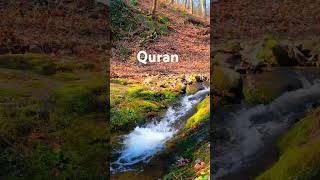 Surah Hashr 59 Ayat  0910 Urdutranslation amp Tafseer [upl. by Kiele]