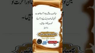 viralvideo اقوال urdu hindi حدیث hadees quote love youtube AHUrduqr7jq [upl. by Euqinu]