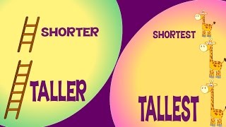 Taller and Shorter amp Tallest and Shortest  Comparison for Kids  Learn PreSchool Concepts [upl. by Joye]