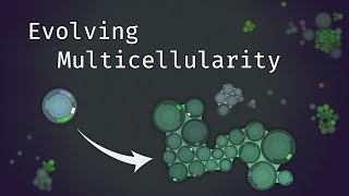 Simulating an Evolving Microcosmos  The Path to Multicellularity [upl. by Llenrac]