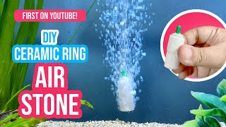 DIY Air Stone Hack Boost Your Fish Tank with Oxygen 🐠🫧 [upl. by Sioled]