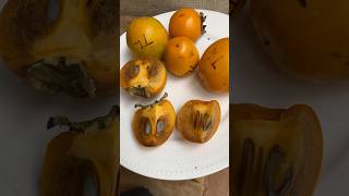 Thiene Persimmon a PVNA type [upl. by Azial485]