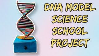 HOW TO MAKE A DNA MODEL। SCHOOL PROJECTusing PVC Pipe [upl. by Jaclyn509]