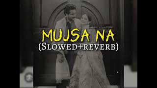 Mujsa Na 🦋slowedreverb ft asim azhar  Nehaal Naseem mujsana asimazhar nehaalnaseem [upl. by Rramal]