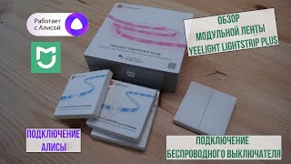 Подключение Yeelight LIGHTSTRIP PLUS к Алисе и беспроводному выключателю [upl. by Wagoner]