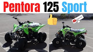 Vitacci Pentora 125cc Review In Green [upl. by Metsky]