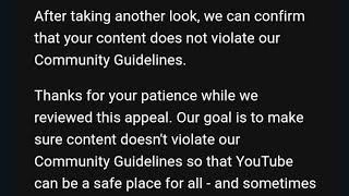 I Appealed My Video Getting Flagged and Won Dont be defeatist [upl. by Llertnahs]