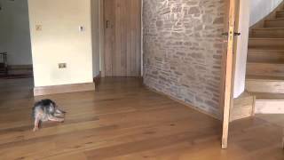 Engineered oak flooring in three widths from White Hall Flooring in Hereford [upl. by Morrison418]