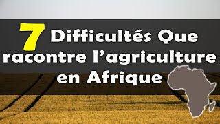 AGRICULTURE Voici les 7 difficultés que racontre le secteur en Afrique [upl. by Bilski]