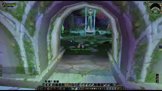 Darnassus Mage Trainer Location Classic WoW Wotlk [upl. by Harahs701]