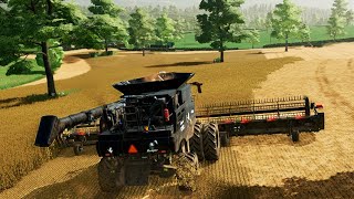 Harvested Soybeans Farming Simulator 22 71 [upl. by O'Dell617]