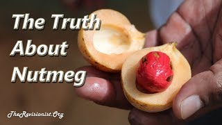 Nutmeg – An Overview of a Psychoactive Spice with Therapeutic Properties [upl. by Lewan]