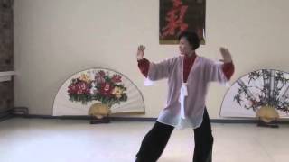 Traditional Sun Style Tai Ji Quan 97 Step by master Faye Yip [upl. by Rabiah]