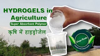 HYDROGELS in Agriculture  कृषि में हाइड्रोजेल  Super absorbent polymer  Hindi 2021 [upl. by Anaujahs473]