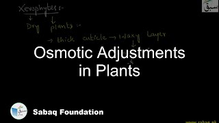 Osmotic Adjustments in Plants Biology Lecture  Sabaqpk [upl. by Elisabetta]