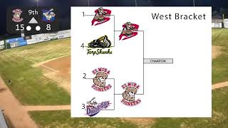 July 29 Elmira Pioneers vs Auburn Doubledays Playoffs Round 1 [upl. by Ahsac]