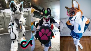 🐱 Furry Memes  Dino Mask TikToks Compilation 8 [upl. by Parnell]