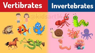 Vertibrates and Invertebrates  Classifying Vertebrates and Invertebrates  Educational videos [upl. by Nerha]